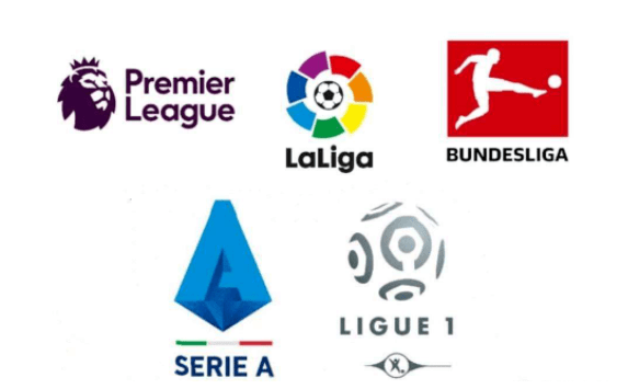 我们看到的 我们看到的